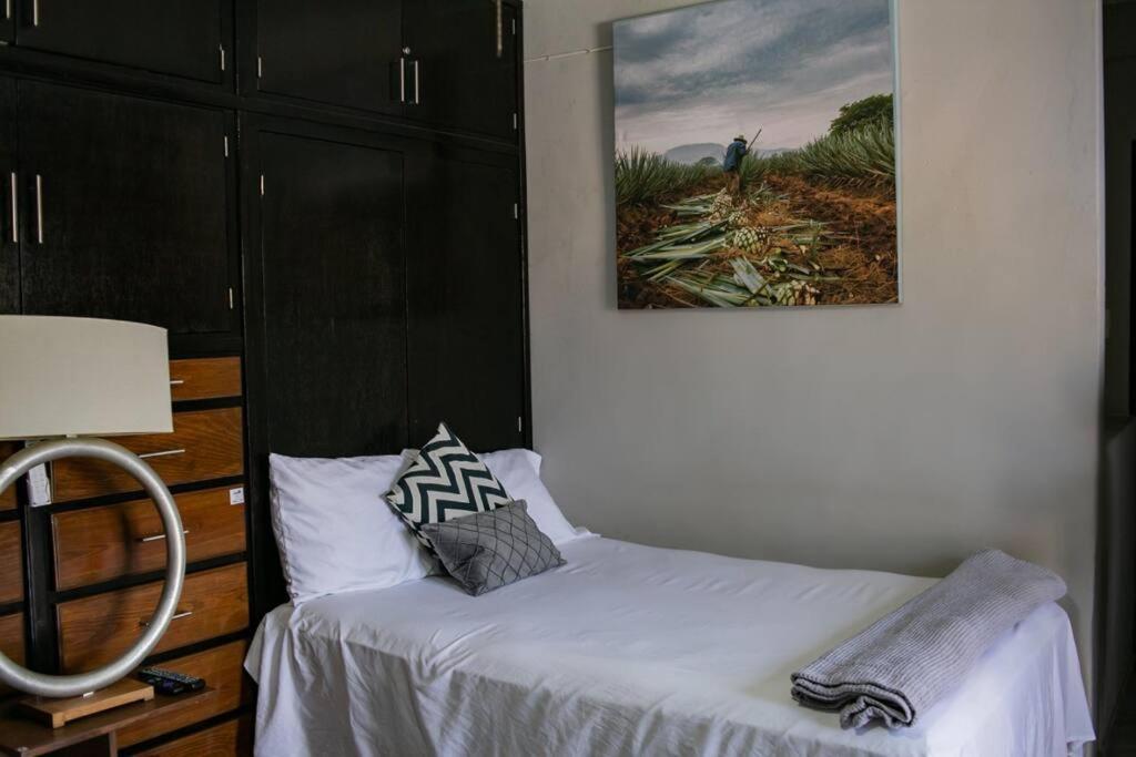Apartament Hermoso Departamento Centrico Con Servicios Tequila Zewnętrze zdjęcie