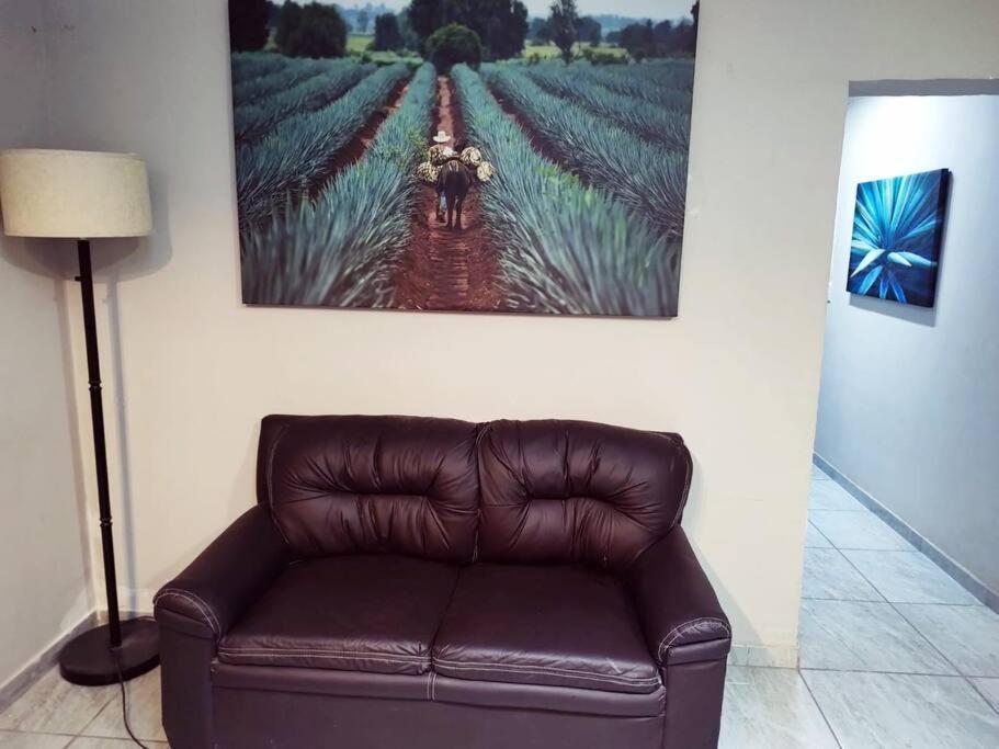 Apartament Hermoso Departamento Centrico Con Servicios Tequila Zewnętrze zdjęcie