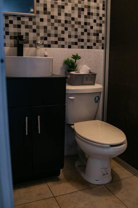 Apartament Hermoso Departamento Centrico Con Servicios Tequila Zewnętrze zdjęcie