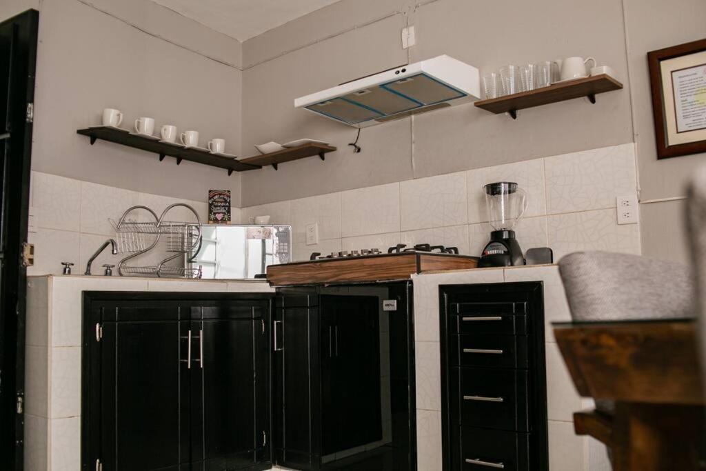 Apartament Hermoso Departamento Centrico Con Servicios Tequila Zewnętrze zdjęcie