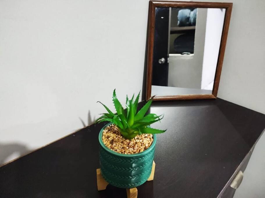 Apartament Hermoso Departamento Centrico Con Servicios Tequila Zewnętrze zdjęcie