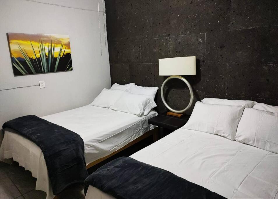Apartament Hermoso Departamento Centrico Con Servicios Tequila Zewnętrze zdjęcie